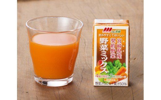 野菜ミックス125ml×24本セット [F3014]