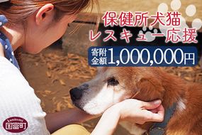 ＜保健所犬猫レスキュー【返礼品なしのご寄附】＞寄附金額1,000,000円※お礼状をお送りいたします。【 動物愛護 保護 犬 猫 いぬ ねこ イヌ ネコ 動物 どうぶつ ペット 応援 支援 寄付 使い道 寄附のみ いのちのはうす保護家 】【a0729_in】