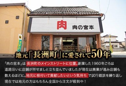 豚ロース味噌漬け 1000g(約100g×10枚) 肉の宮本《45日以内に出荷予定(土日祝除く)》---sn_fmiyamiso_45d_r8_16000_1kg---
