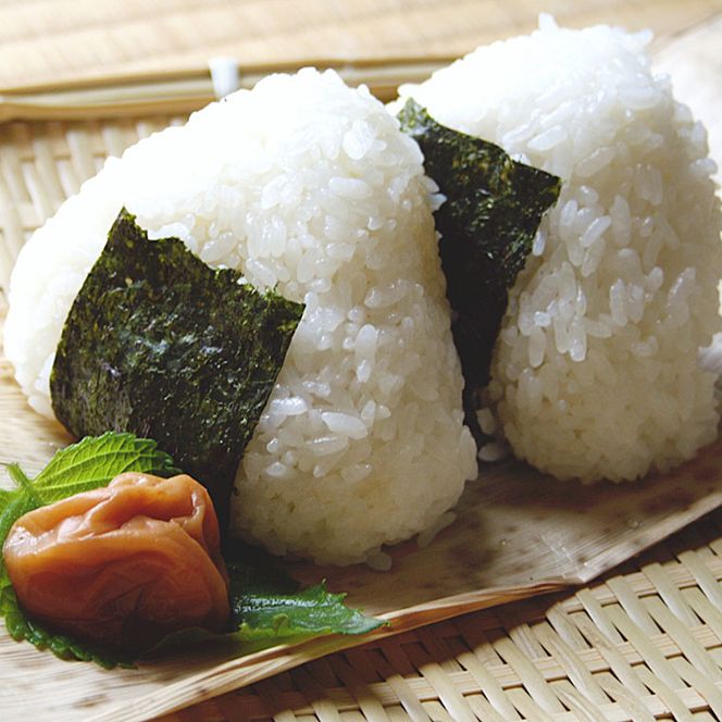 ななひかり米 10kg （5kg×2）【 無洗米 】 米 こしひかり コシヒカリ こめ コメ ご飯 ごはん 茨城県 八千代町 41000円 [AR003ya]