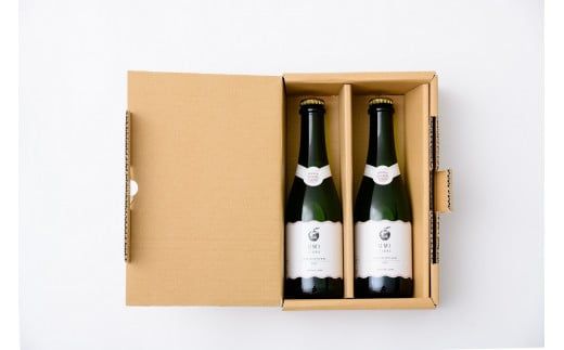 E075 【山口産りんご】UMIシードル－ドライ－（375ml×1本）やまぐちシードル