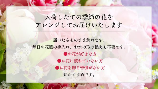 ≪ギフト≫プリザーブドフラワーS プリザーブドフラワー インテリア ギフト プレゼント 誕生日 記念日 母の日 父の日 [CT031ci]