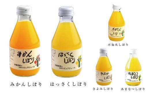 305. 伊藤農園100％ピュアジュース10本 ギフトセット(A305-1)