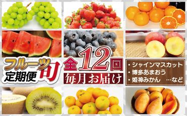 旬のフルーツを毎月お届け！むなかた旬のフルーツ定期便／年12回【JAほたるの里】_PB0139