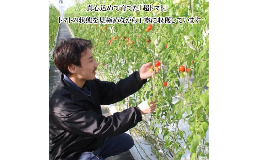 超トマトを贅沢に絞った「超トマトジュース」　1本【1_2-021】