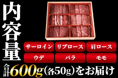 数量限定 ＜宮崎県産黒毛和牛(経産)6種焼肉セット 600g＞入金確認後、1～3か月以内に順次出荷【 国産 黒毛和牛 牛肉 牛 精肉 焼き肉 焼肉 サーロイン リブロース 肩ロース ウデ モモ バラ 贈答品 ギフト 贈り物 グルメ ミヤチク 宮崎県 国富町 】【b0750_my_x2】
