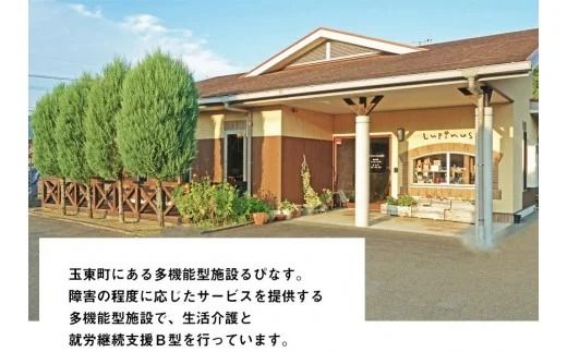 るぴなすクッキーセット4種類 各60g×8袋《60日以内に出荷予定(土日祝除く)》熊本県 玉東町 るぴなすクッキーセット プレーン/マーブル/レーズン/紅茶 かわいいデザインのポストカード2枚付き---sg_lupinus_60d_21_11000_480g---