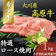 【CF】大川原高原牛   特選ロース焼肉　1kg《60日以内に出荷予定(土日祝除く)》---sanagouchi_nfw_16_1kg---