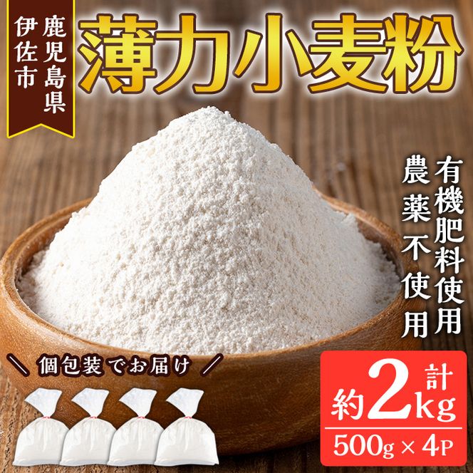 isa480《毎月数量限定》あんしん小麦粉・薄力粉(約500g×4袋・計約2kg）【しげふみファーム】