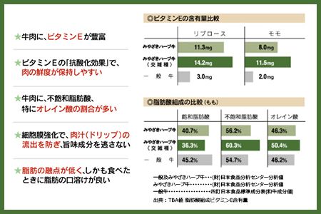 ＜みやざきハーブ牛 手ごねハンバーグ「生」（140g×10個）＞入金確認後、翌月末迄に順次出荷【c458_fw_x4】