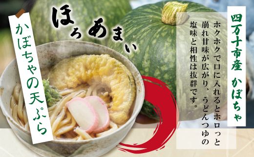 R6-218．【6回定期便】麦屋のお店の天ぷらがご自宅で楽しめる♪麦屋の四万十うどんと天ぷらセット（合計48食）