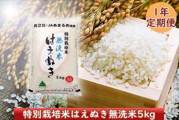 ＜2月開始＞庄内米１年定期便！特別栽培米はえぬき無洗米5kg（入金期限：2024.1.25）