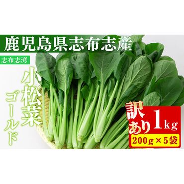 【期間限定・訳あり】志布志湾小松菜ゴールド(計1kg・200g×5袋) p6-012