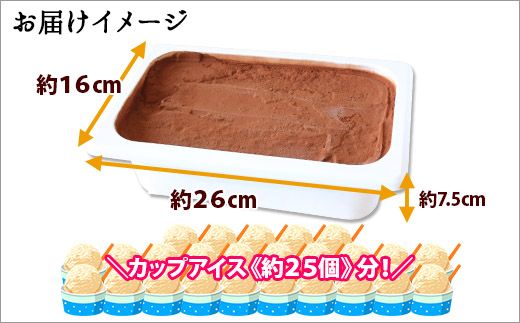 634.アイスクリーム ミルクココア ココア ジェラート 業務用 2リットル 2L アイス 大容量 手作り 北海道 弟子屈町