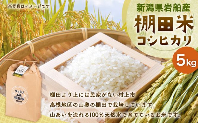 yVszyߘa7NYāzVs DY  Ic RVqJ 5kg@A4038