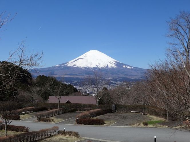 乙女森林公園第２キャンプ場宿泊券（テントサイト：5名）