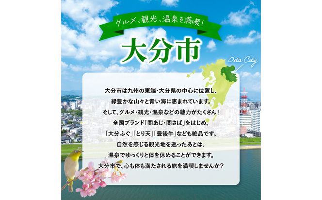 【O02049】大分県大分市 日本旅行 地域限定旅行クーポン 【30,000円分】