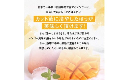 【令和8年発送】宮崎県産完熟マンゴー　三國農園　完熟マンゴー2玉（約1kg） 【 果物 フルーツ マンゴー 宮崎県産 完熟マンゴー みやざきマンゴー 】 [C08303]