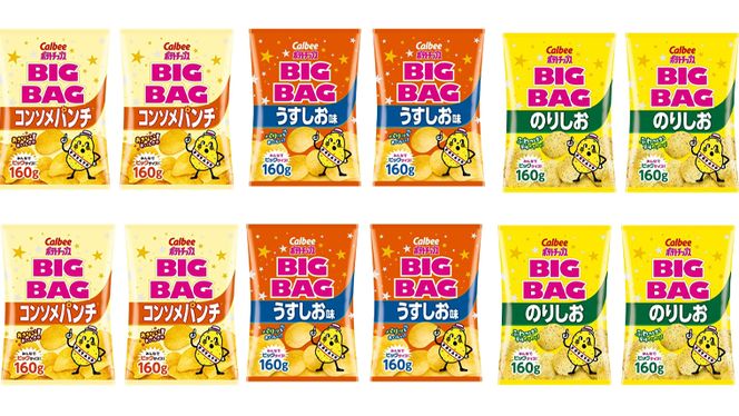 【 カルビー 3ヶ月 定期便 】 ポテトチップス BIGBAG 3種 各4袋 セット うすしお のりしお コンソメパンチポテチ お菓子 おかし 大量 スナック おつまみ ジャガイモ じゃがいも まとめ買い 数量限定 [DA012us]