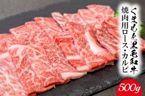 くまもと黒毛和牛 焼肉用ロース・カルビ 500g 《60日以内に出荷予定(土日祝除く)》 熊本県 長洲町 くまもと黒毛和牛 黒毛和牛 牛肉 肉 焼き肉 株式会社 羽根(出荷元：株式会社酒湊)---sn_fhnroka_60d_r7_14500_500g---