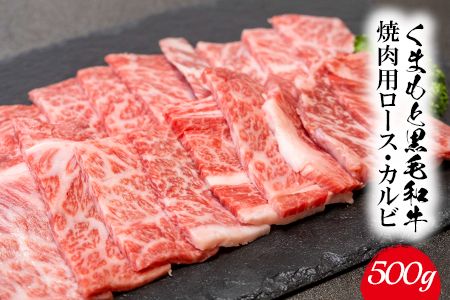 くまもと黒毛和牛 焼肉用ロース・カルビ 500g 《60日以内に出荷予定(土日祝除く)》 熊本県 長洲町 くまもと黒毛和牛 黒毛和牛 牛肉 肉 焼き肉 株式会社 羽根(出荷元：株式会社酒湊)---sn_fhnroka_60d_24_14500_500g---