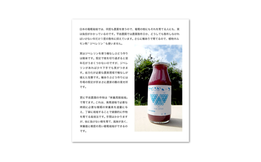 幸田町産 ぶどう使用(無添加、無糖、無加水)100％ ジュース 多種類 6本詰め合わせ ぶどうジュース