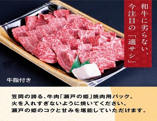 B-07 瀬戸の姫（焼肉用）《45日以内に出荷予定(土日祝除く)》