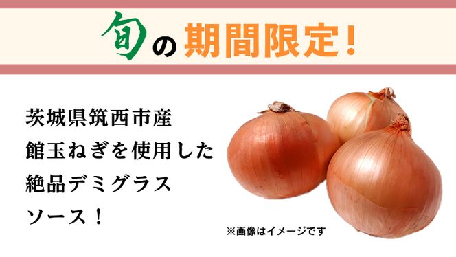 【 期間限定 】 館玉ねぎ ハンバーグ ( デミグラスソース ) 10袋セット 無添加調理 肉 お肉 玉ねぎ 鶏肉 デミグラス ソース [BW066ci]