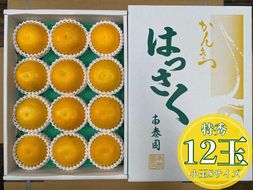 化粧箱 手詰め 有田 はっさく 特秀 小玉 S サイズ × 12玉入 南泰園 みかん BS709
