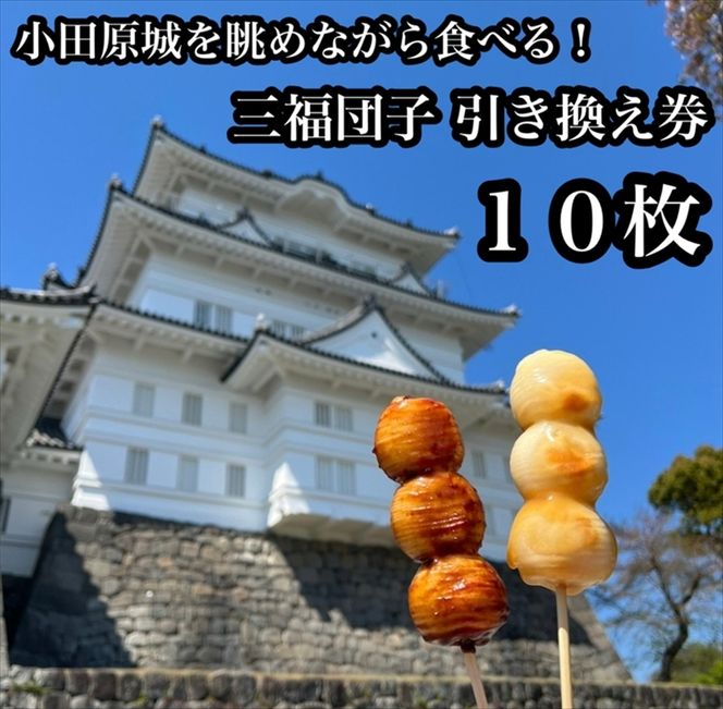 194-2645　小田原城を眺めながら食べるお団子 三福団子引換券 10本分 くるみ味噌 みたらし団子【 引換券 神奈川県 小田原市 】