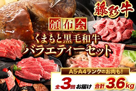 藤彩牛 全3回頒布会 バラエティーセット 合計3.6kg くまもと食彩の力 [お申込み月の翌月から出荷開始] 熊本県 長洲町 くまもと黒毛和牛 黒毛和牛 牛肉 肉 ハンバーグ 焼肉用 焼き肉用 しゃぶしゃぶ・すき焼き用 モモ バラ カルビ 定期便---sn_fkm3hantei_r7_98000_mo3num1---