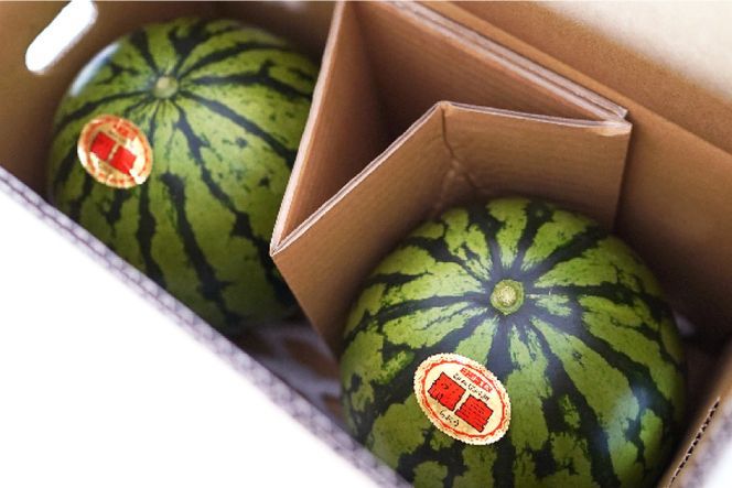 【CF01】CF164【令和8年度出荷分】秋季出荷！大玉スイカ～羅皇（ラオウ）～（Lサイズ6kg以上×2玉入）[先行予約 数量限定 すいか スイカ 西瓜 フルーツ 果物 長崎 長崎県 島原市]