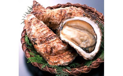 鹿島名産★天然岩牡蠣（約5kg）（KBL-9）