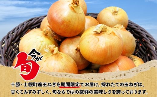 《期間限定》北海道 士幌産 たまねぎ 玉ねぎ タマネギ 玉ネギ 玉葱 10kg (2025年12月～発送開始予定)  採れたて オニオン 旬の野菜 期間限定 新鮮 野菜 産地直送 産直 お取り寄せ 送料無料 十勝 士幌町 9000円 【V07】
