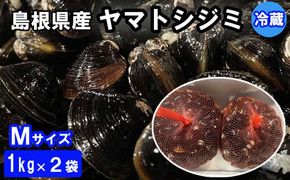 酒器セット ダイヤ柄 片口、ぐい飲みセット【4_2-002】（島根県
