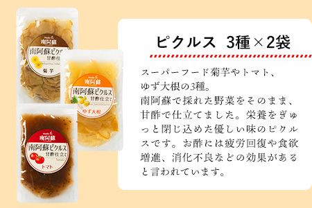 南阿蘇オーガニック あか牛だご汁2食とピクルス3種×2セット《30日以内に出荷予定(土日祝除く)》 熊本県 南阿蘇村 だご汁 ピクルス トマト 菊芋 ゆず大根 郷土料理---sms_moakapi_30d_r7_13500_4i---