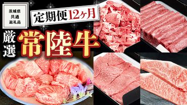 [ 定期便 ] 厳選 『 常陸牛 』 12ヶ月セット ( 茨城県共通返礼品 ) A5 A4 肉 焼肉 国産 霜降 サーロイン ヒレ もも ハンバーグ ステーキ すき焼き しゃぶしゃぶ [BM028us]