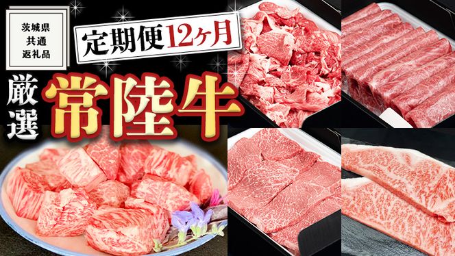 y錧vsz   I w 헤 x 12Zbg ( 錧ʕԗi ) A5 A4  ē Y ~ T[C q  no[O Xe[L Ă Ԃ [BM028us]