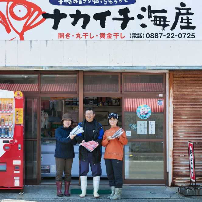 今だけ！室戸旬どれ美人カマス干物１３枚以上 nk015