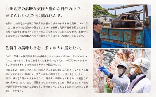 【脂身少なめ】500g 「佐賀牛」ももスライス【チルドでお届け!】D-572