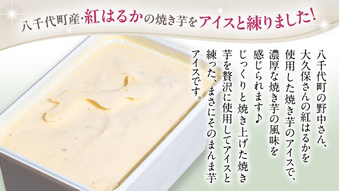 八千代町産 紅はるか使用 焼き芋 バスクチーズケーキ と 焼き芋 ジェラート １L チーズケーキ ケーキ アイス チーズ お菓子 スイーツ デザート 芋 いも 焼いも ふるさと納税 10000円 濃厚 [AU097ya]