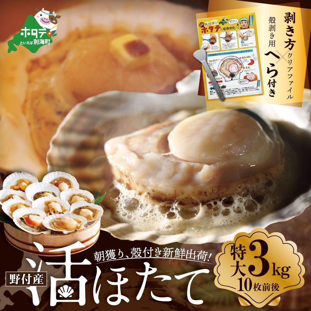 [緊急支援品]朝どり 新鮮出荷 活ホタテ 特大 3kg前後(10枚前後) [UY0000013]