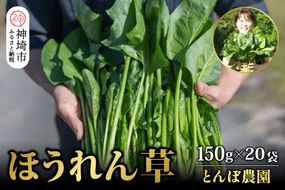 ほうれん草 約3kg（150g x 20袋）【ハウス栽培 産地直送 クール便 佐賀県脊振山麓産】(H091115)