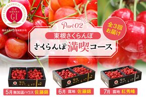 【2025年産 先行予約】 GI「東根さくらんぼ」 さくらんぼ 満喫 コース Part2 (2025年5月下旬～6月上旬からスタート) 山形県 東根市 hi001-034-2