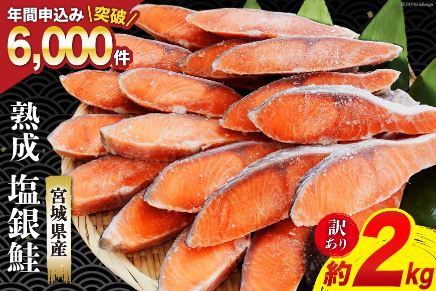 訳あり 宮城県産 熟成 銀鮭 切身 約2kg [宮城東洋 宮城県 気仙沼市 20563343] 鮭 海鮮 国産 さけ 鮭 甘口 サケ 鮭切身 シャケ 切り身 冷凍 おかず 弁当 支援 事業者支援 サーモン 魚 銀鮭切り身