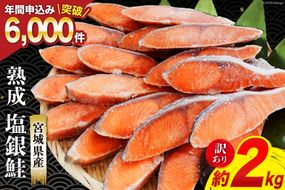 訳あり 宮城県産 熟成 銀鮭 切身 約2kg [宮城東洋 宮城県 気仙沼市 20563343] 鮭 海鮮 国産 さけ 鮭 甘口 サケ 鮭切身 シャケ 切り身 冷凍 おかず 弁当 支援 事業者支援 サーモン 魚 銀鮭切り身