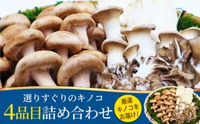  南島原産厳選きのこセット 4品目詰め合わせ / 詰め合わせ きのこ キノコ 茸 きのこセット / 南島原市 / 吉岡青果 [SCZ013]