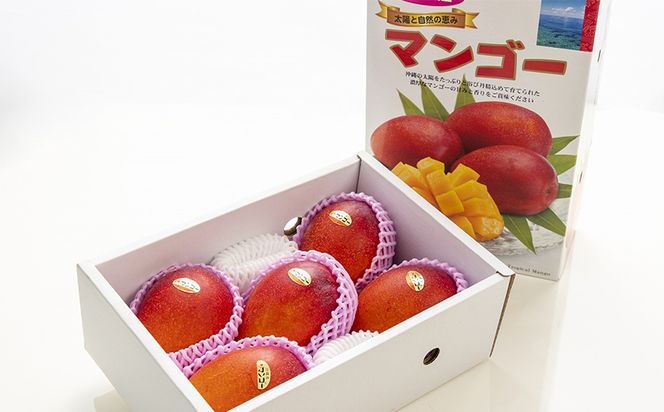 【化粧箱入】【先行受付・2026年発送】渡口ファームの こだわりマンゴー 約2kg - 先行予約 沖縄県産 産地直送 南国フルーツ 旬の味覚 季節の果物 贈り物 ギフト 沖縄県 八重瀬町