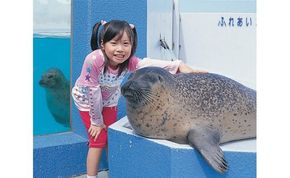 【数量限定】南知多ビーチランド飼育係一日体験