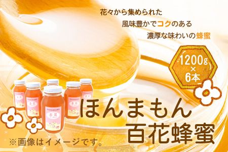 ほんまもん百花蜂蜜 1200g×6本 計7200g 村上養蜂[90日以内に出荷予定(土日祝除く)]和歌山県 紀の川市---wsk_murayhh6_90d_21_89000_7200g---